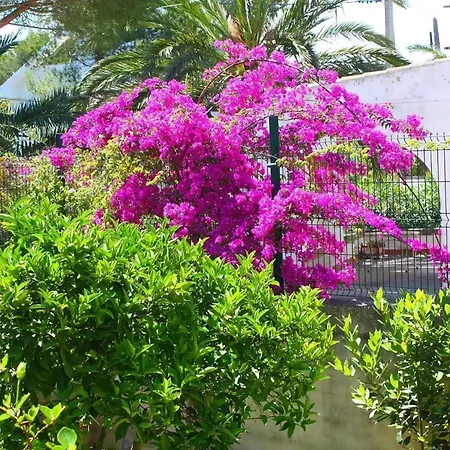 Holiday home Picafort Can Picafort (Mallorca)